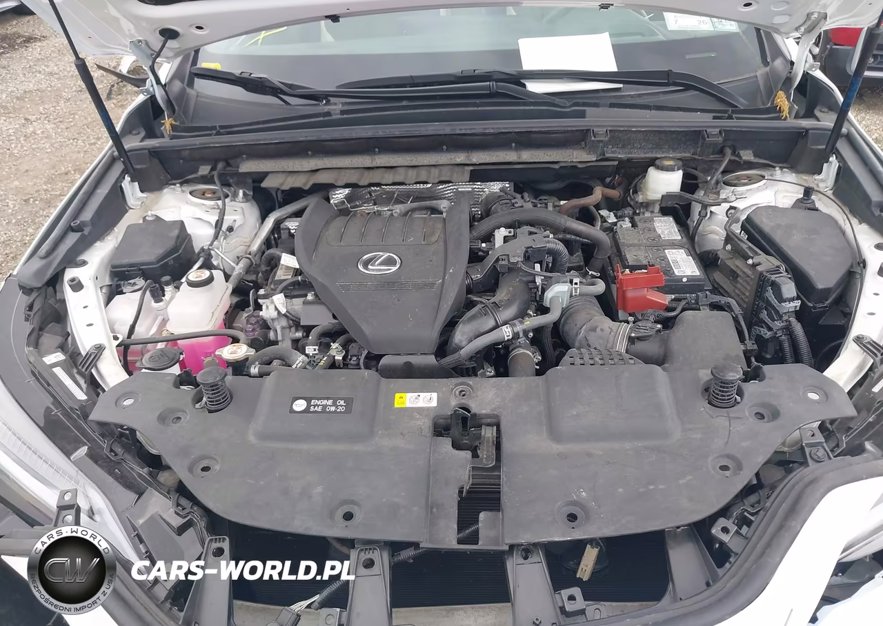 2022 Lexus Nx 350 Luxury VIN:2T2HGCEZ8NC007195 - 10