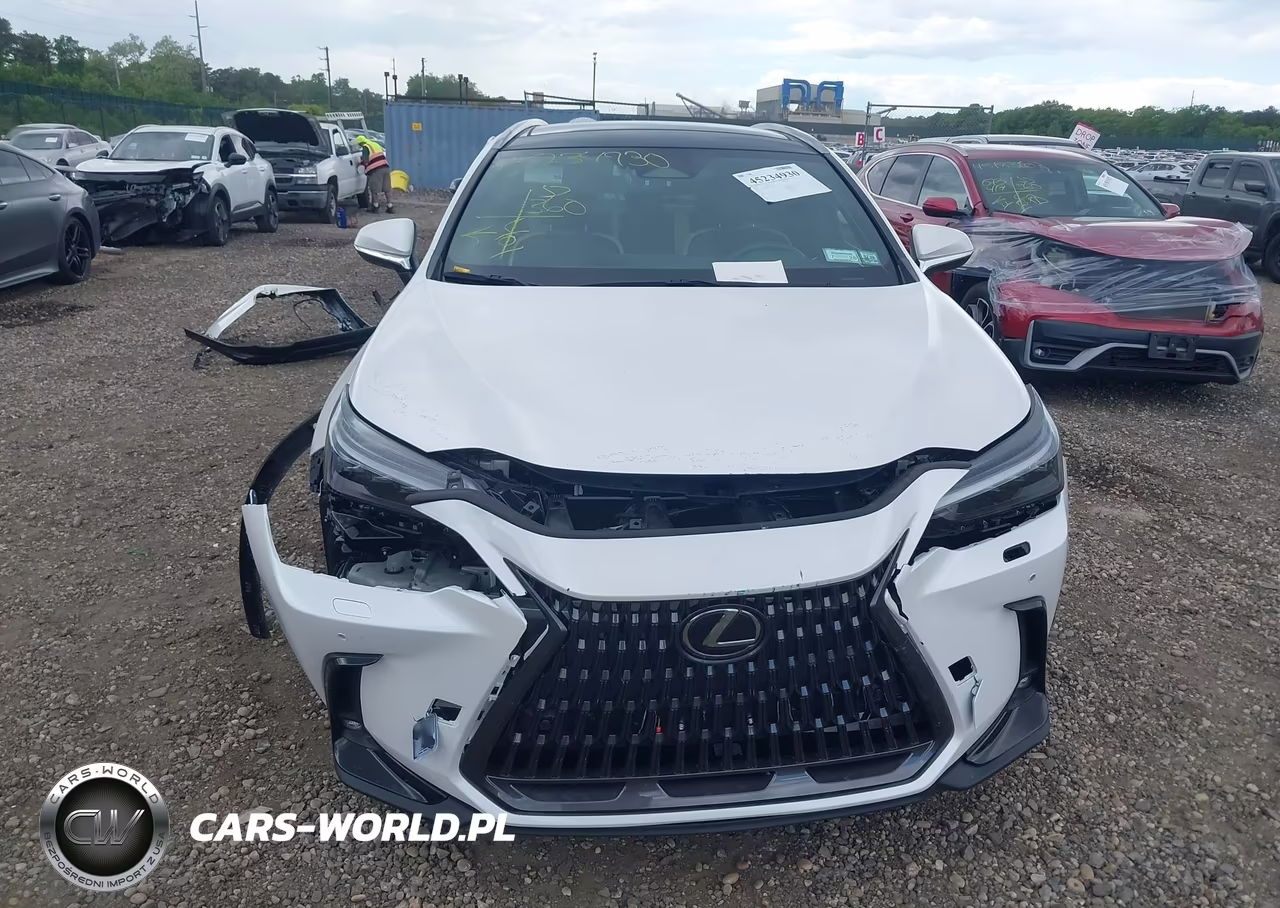 2022 Lexus Nx 350 Luxury VIN:2T2HGCEZ8NC007195 - 12