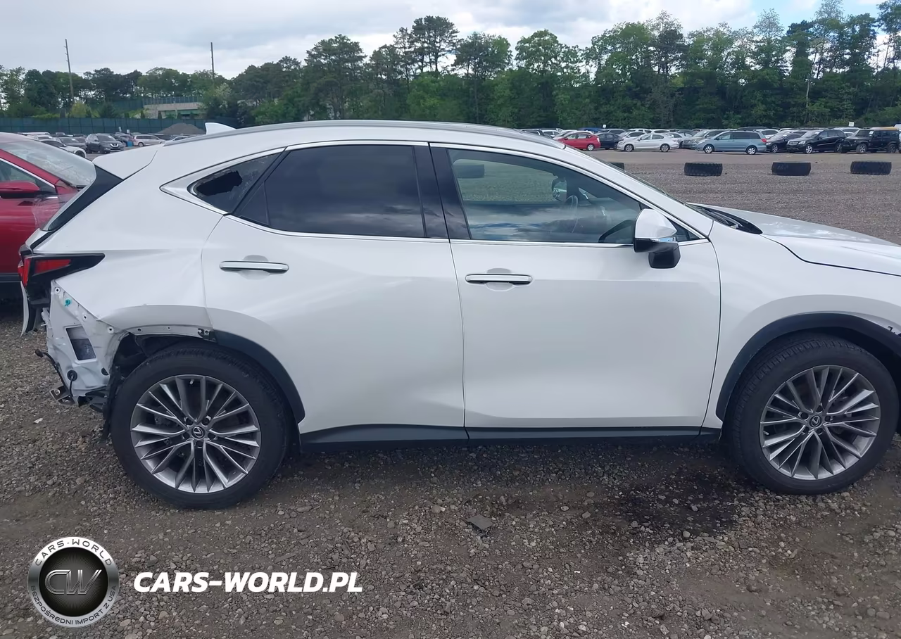 2022 Lexus Nx 350 Luxury VIN:2T2HGCEZ8NC007195 - 13