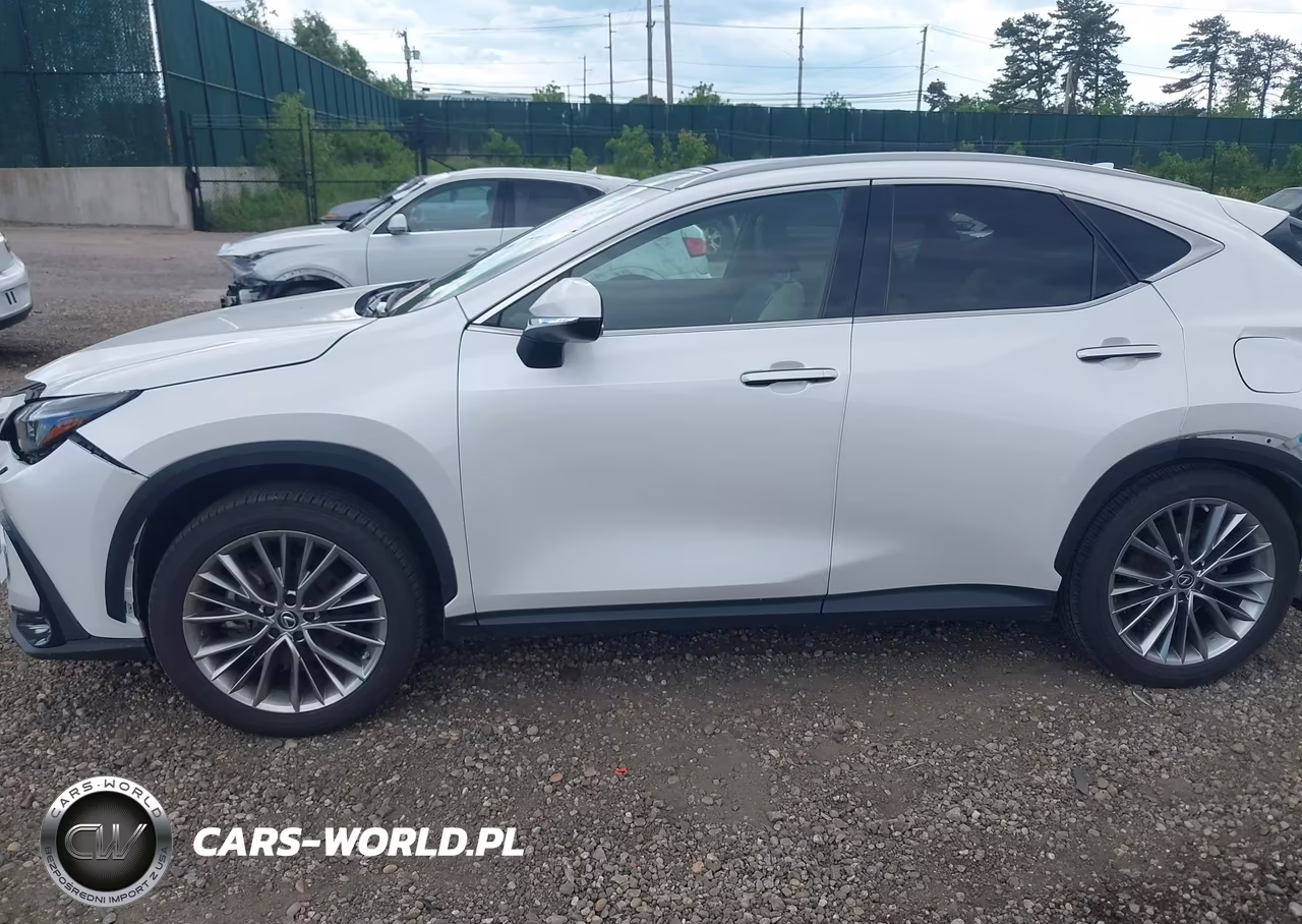 2022 Lexus Nx 350 Luxury VIN:2T2HGCEZ8NC007195 - 14