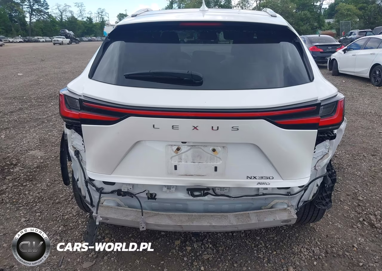 2022 Lexus Nx 350 Luxury VIN:2T2HGCEZ8NC007195 - 16