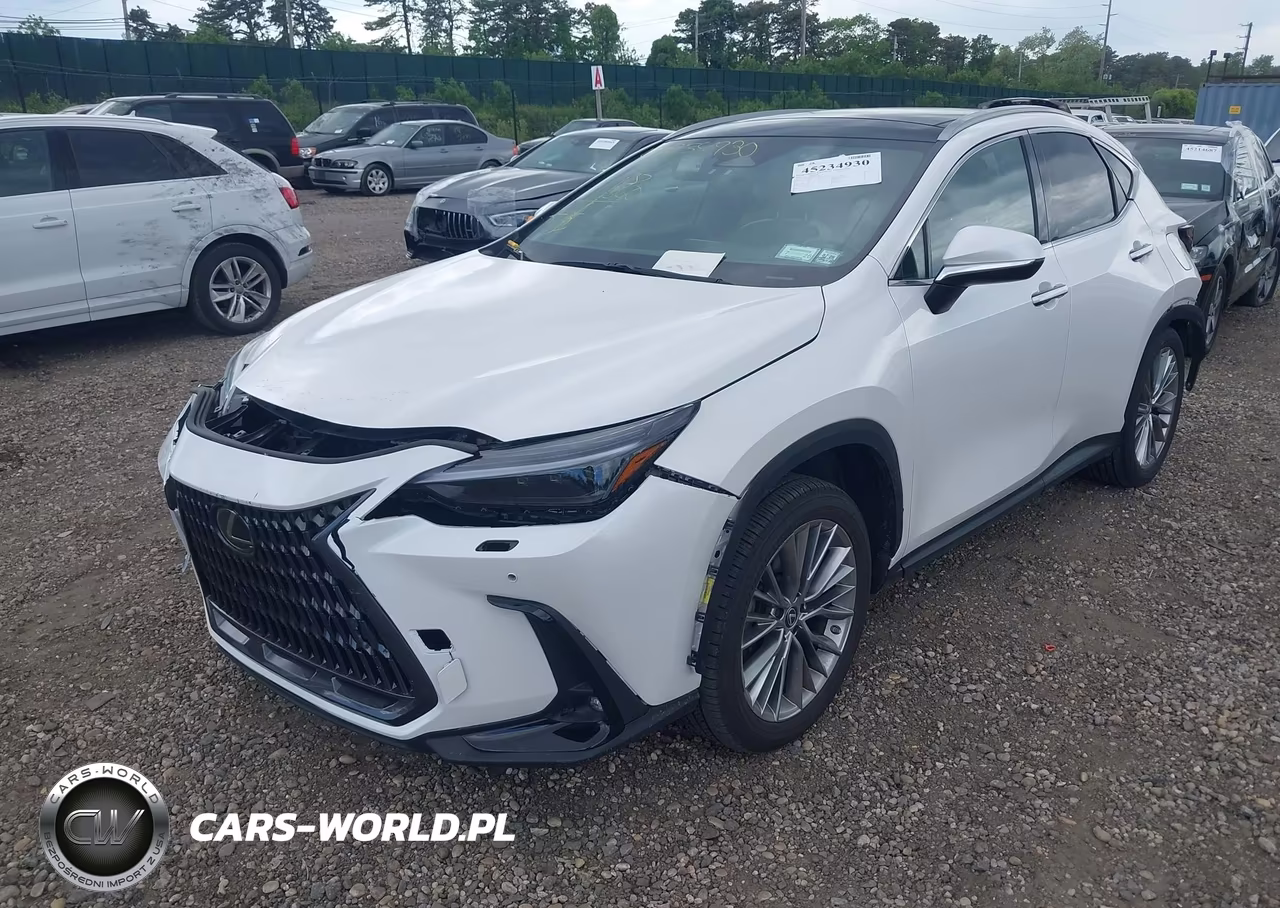 2022 Lexus Nx 350 Luxury VIN:2T2HGCEZ8NC007195 - 2