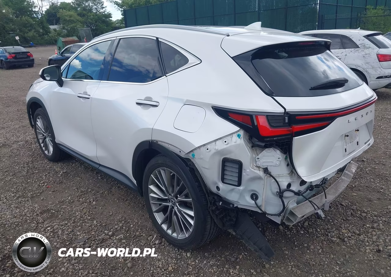 2022 Lexus Nx 350 Luxury VIN:2T2HGCEZ8NC007195 - 3