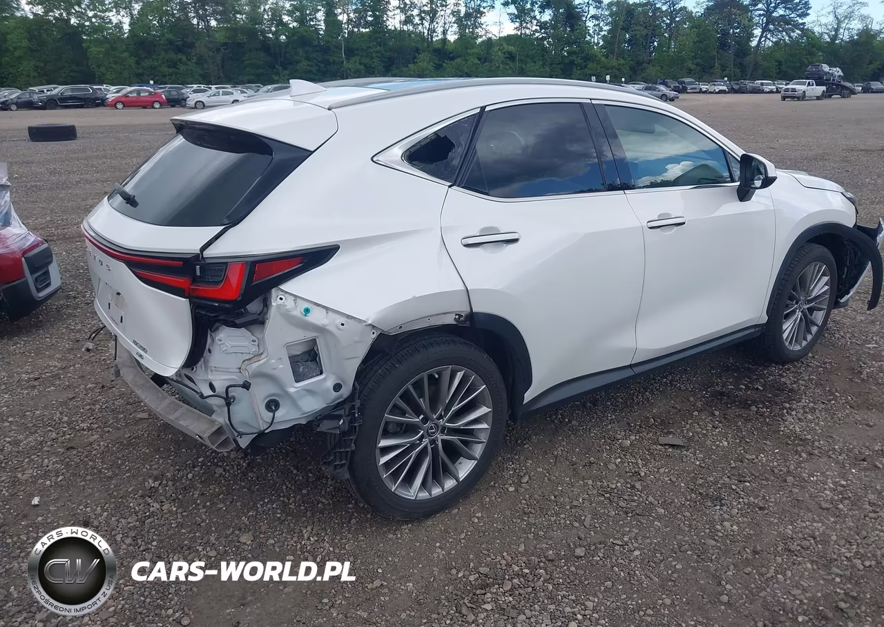 2022 Lexus Nx 350 Luxury VIN:2T2HGCEZ8NC007195 - 4