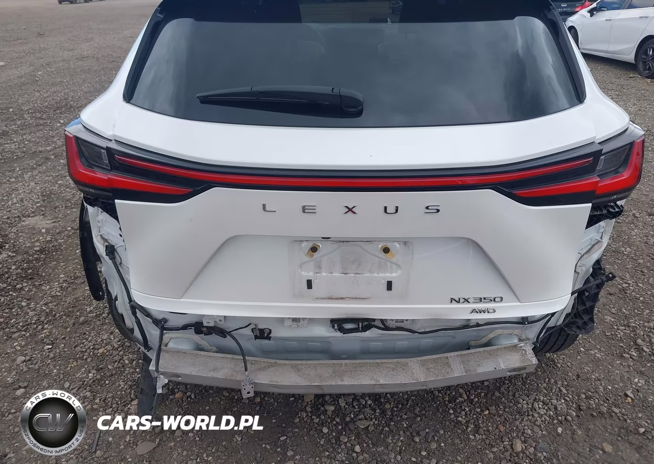 2022 Lexus Nx 350 Luxury VIN:2T2HGCEZ8NC007195 - 6