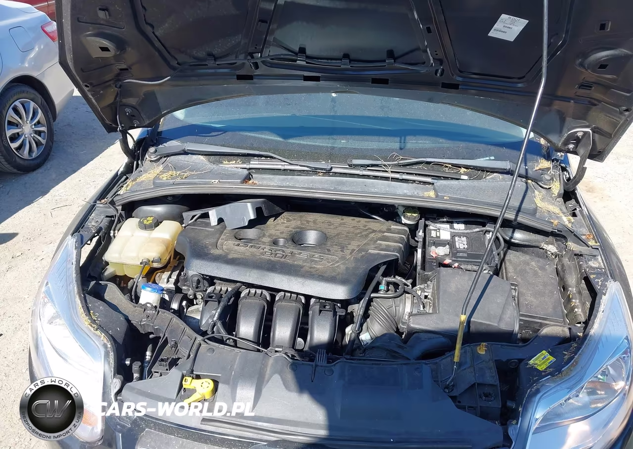 2013 Ford Focus Se VIN:1FADP3K22DL247995 - 10