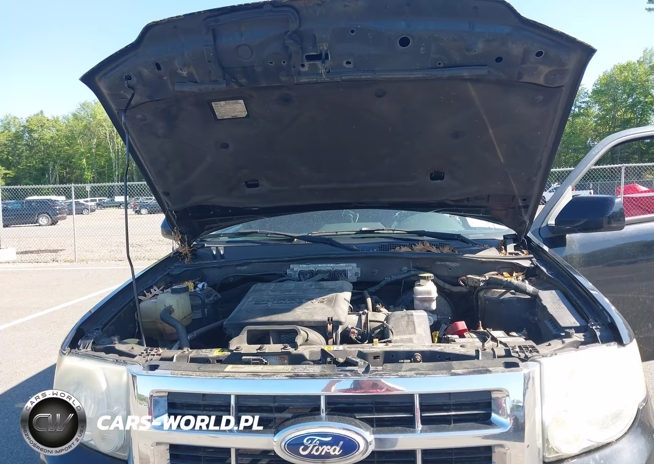 2010 Ford Escape Limited VIN:1FMCU9EGXAKB81217 - 10