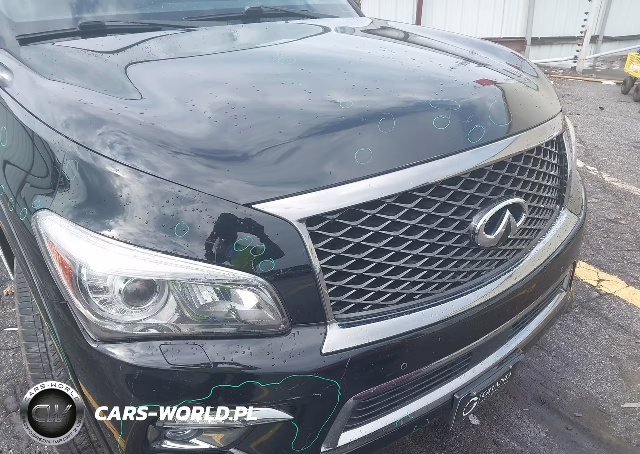 2016 Infiniti Qx80 Limited VIN:JN8AZ2NE3G9125921 - 17