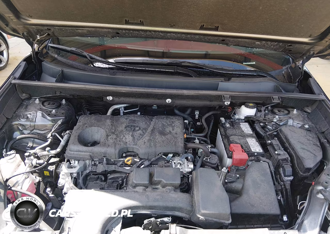 2025 Toyota Rav4 Xle VIN:2T3W1RFV1SC352826 - 10