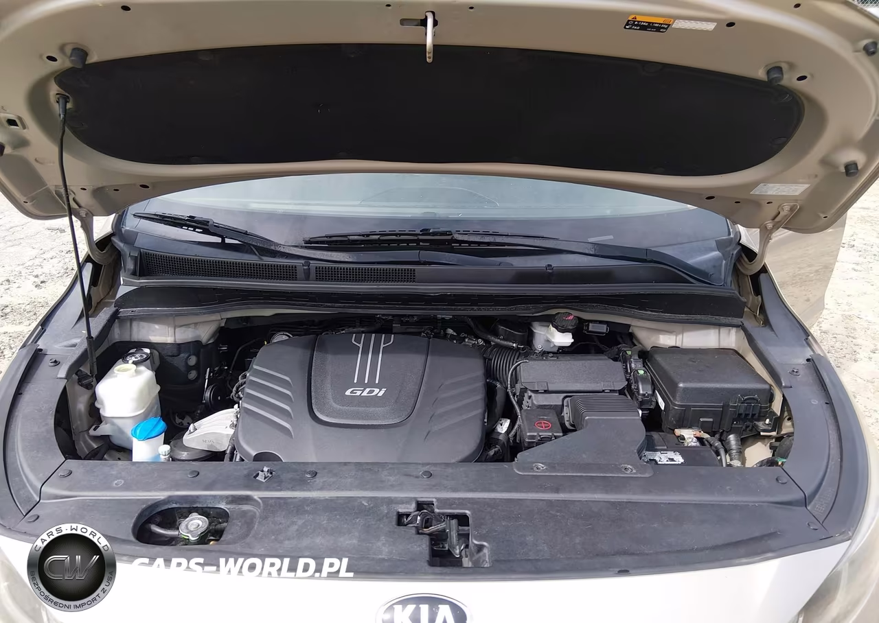 2015 Kia Sedona Sx Luxury VIN:KNDME5C17F6045219 - 10