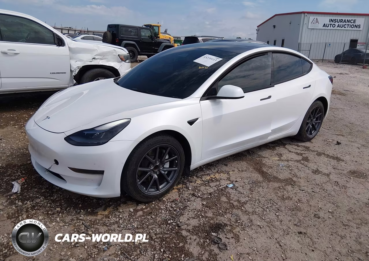 2022 Tesla Model 3 Rear-Wheel Drive VIN:5YJ3E1EA0NF124638 - 2