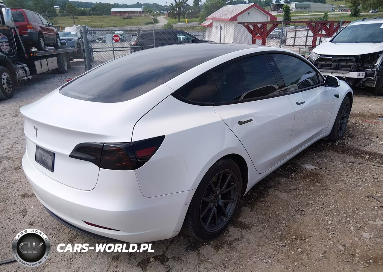2022 Tesla Model 3 Rear-Wheel Drive VIN:5YJ3E1EA0NF124638 - 4