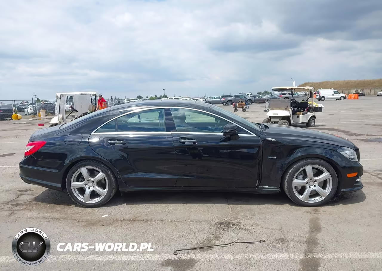 2012 Mercedes-Benz Cls 550 VIN:WDDLJ7DB3CA044304 - 13