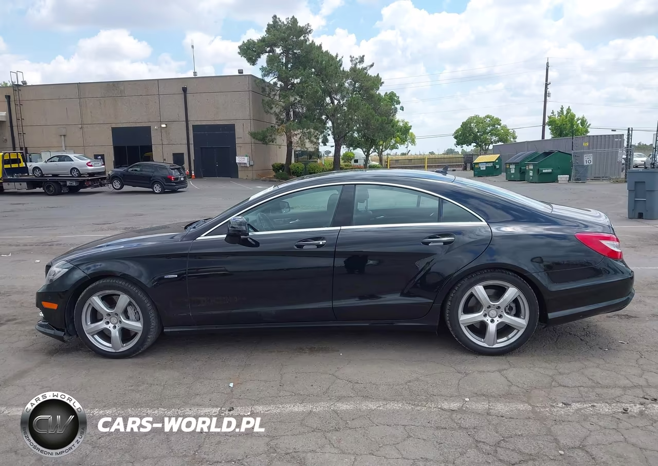 2012 Mercedes-Benz Cls 550 VIN:WDDLJ7DB3CA044304 - 14