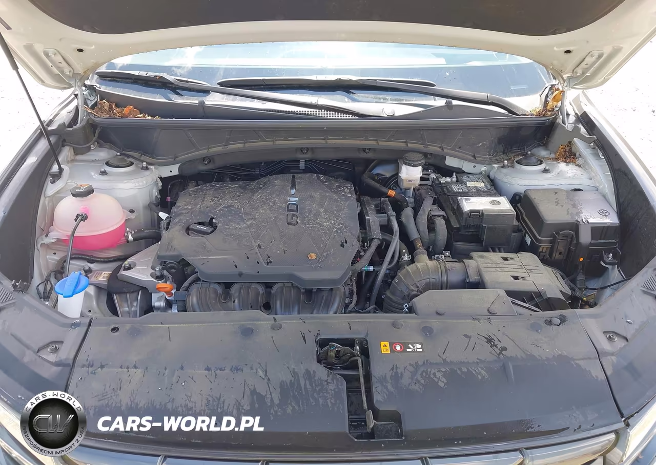 2024 Hyundai Tucson Sel VIN:5NMJF3DE8RH353657 - 10