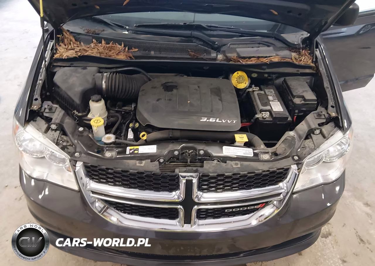 2019 Dodge Grand Caravan Se VIN:2C4RDGBG3KR509166 - 10