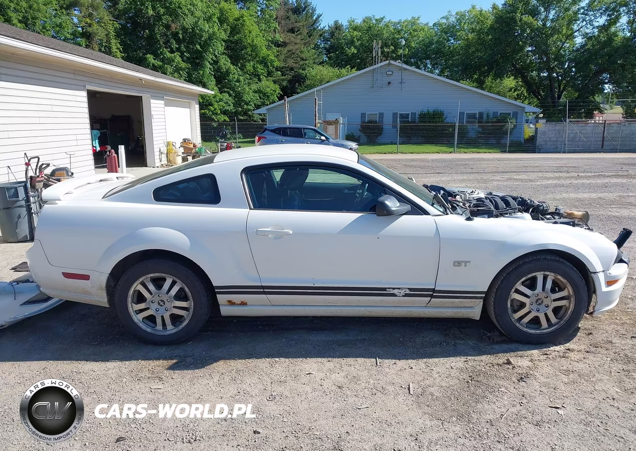 2006 Ford Mustang Gt VIN:1ZVFT82H565205101 - 14