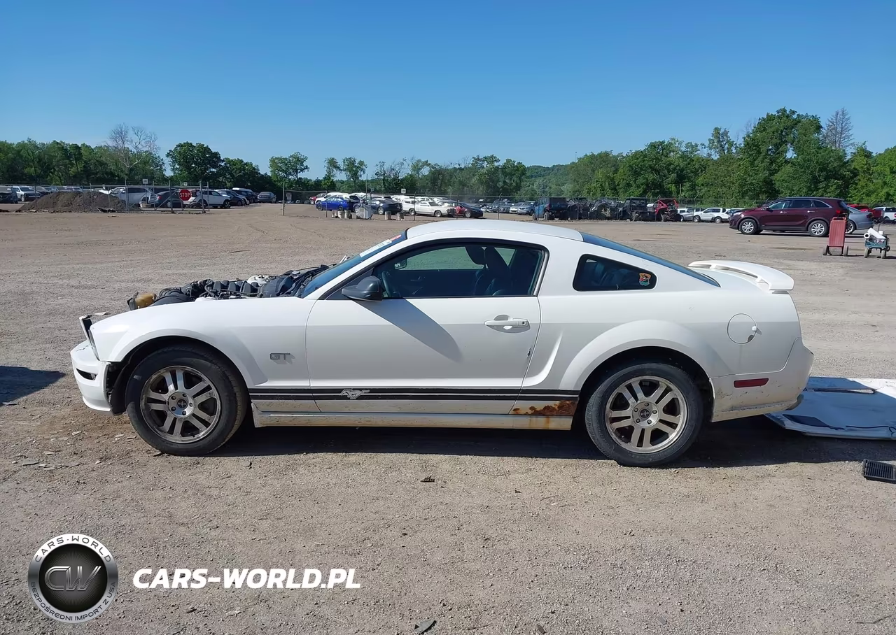 2006 Ford Mustang Gt VIN:1ZVFT82H565205101 - 15