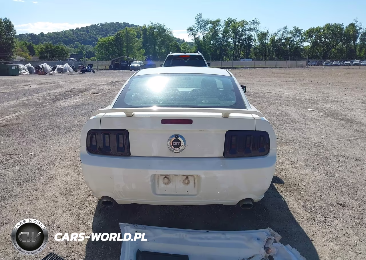 2006 Ford Mustang Gt VIN:1ZVFT82H565205101 - 17