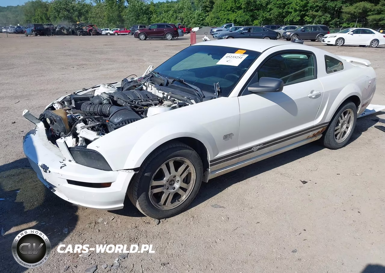 2006 Ford Mustang Gt VIN:1ZVFT82H565205101 - 2