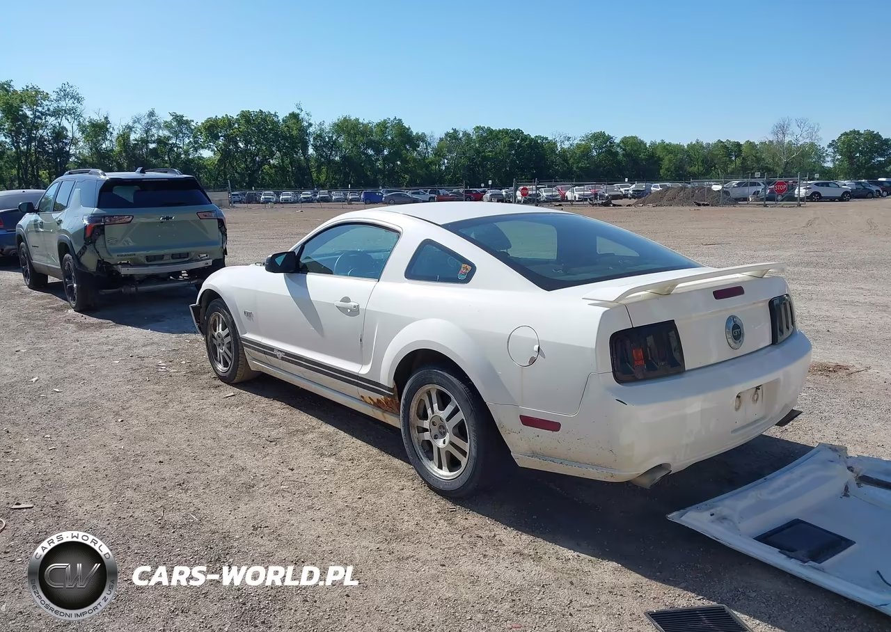 2006 Ford Mustang Gt VIN:1ZVFT82H565205101 - 3