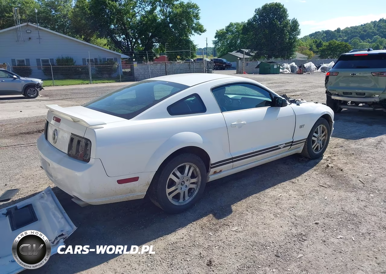 2006 Ford Mustang Gt VIN:1ZVFT82H565205101 - 4