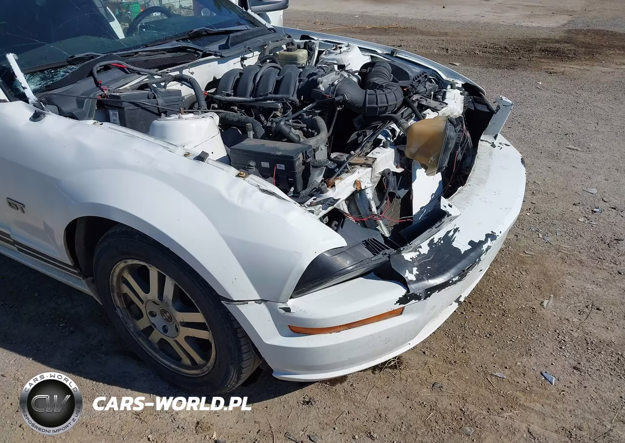 2006 Ford Mustang Gt VIN:1ZVFT82H565205101 - 6