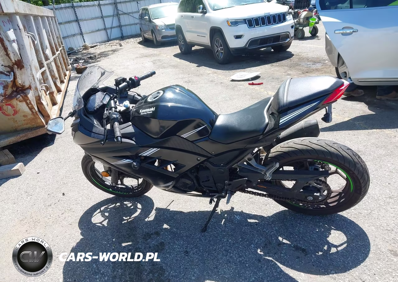 2017 Kawasaki Ex300 B VIN:JKAEX8B16HDA37268 - 12