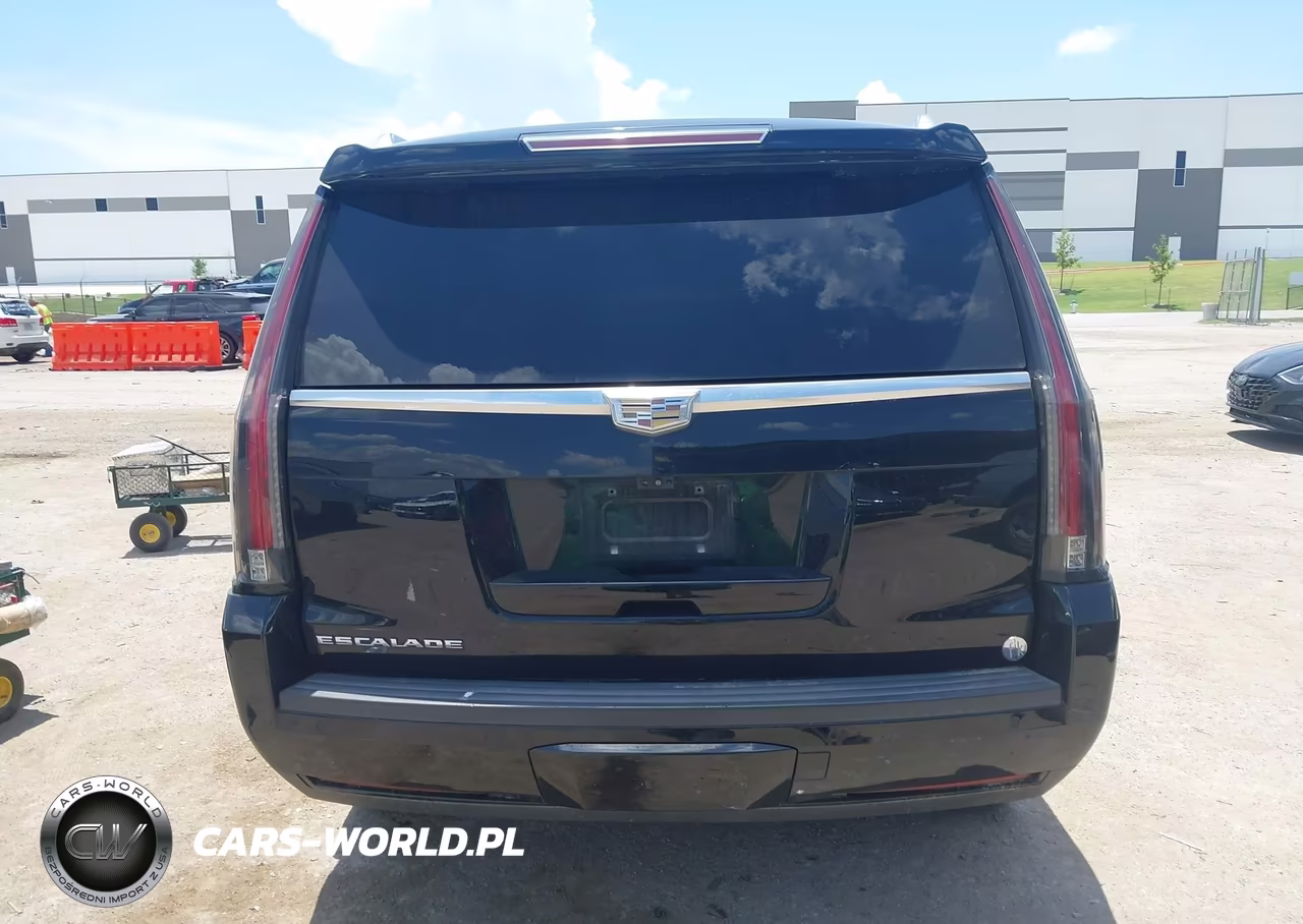 2017 Cadillac Escalade Luxury VIN:1GYS3BKJ1HR294382 - 16