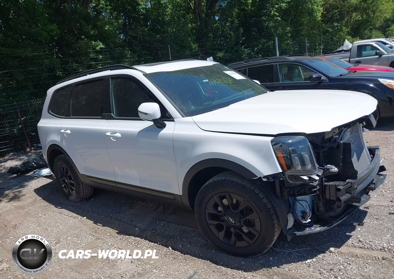 2024 Kia Telluride Sx X-Pro VIN:5XYP5DGC9RG428373 - 13