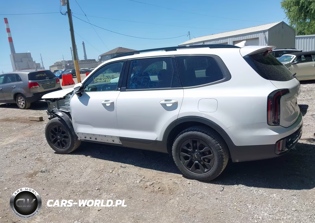 2024 Kia Telluride Sx X-Pro VIN:5XYP5DGC9RG428373 - 14