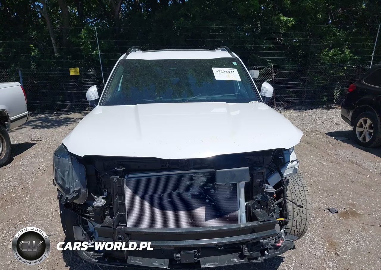 2024 Kia Telluride Sx X-Pro VIN:5XYP5DGC9RG428373 - 17