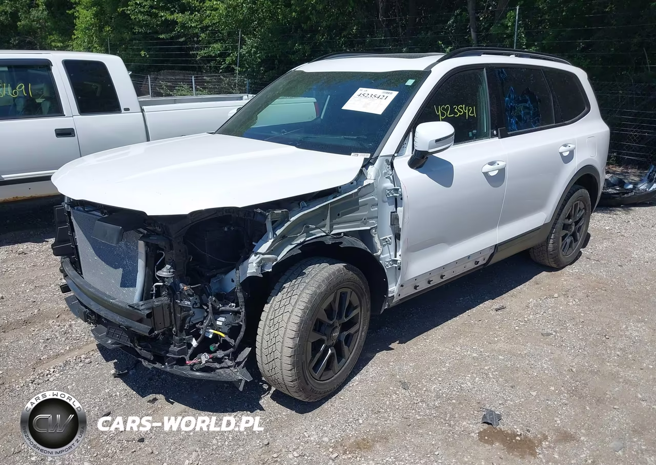 2024 Kia Telluride Sx X-Pro VIN:5XYP5DGC9RG428373 - 2