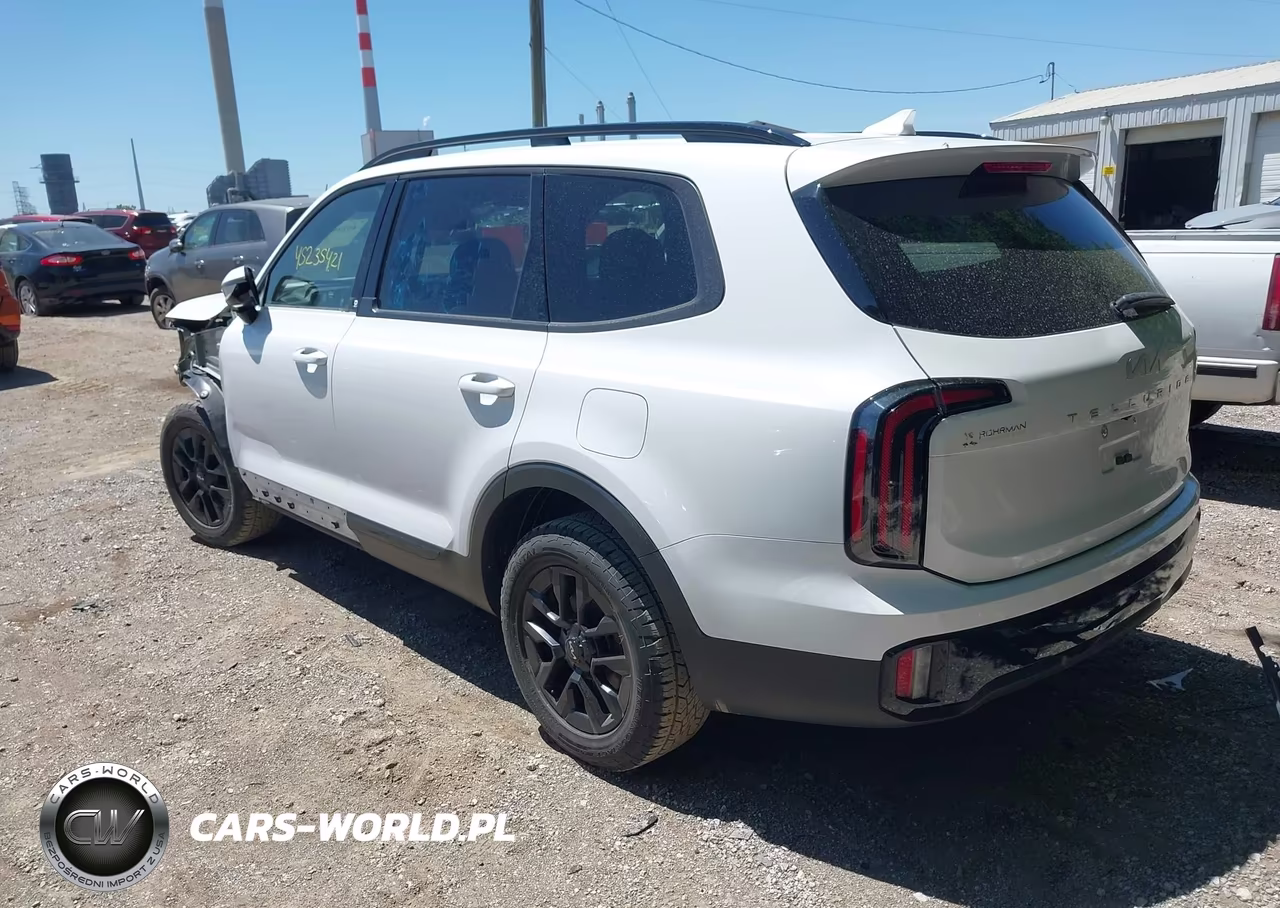 2024 Kia Telluride Sx X-Pro VIN:5XYP5DGC9RG428373 - 3