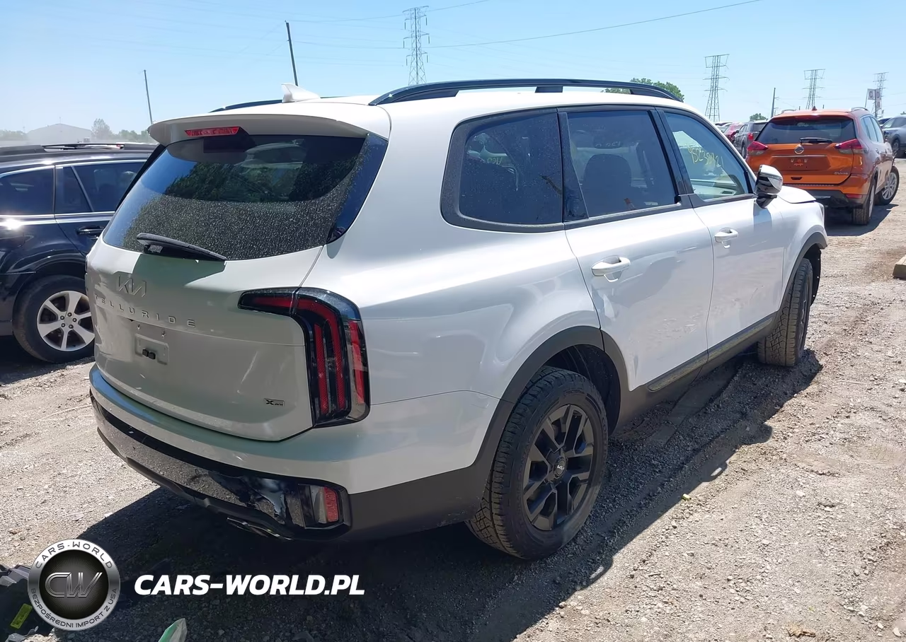 2024 Kia Telluride Sx X-Pro VIN:5XYP5DGC9RG428373 - 4