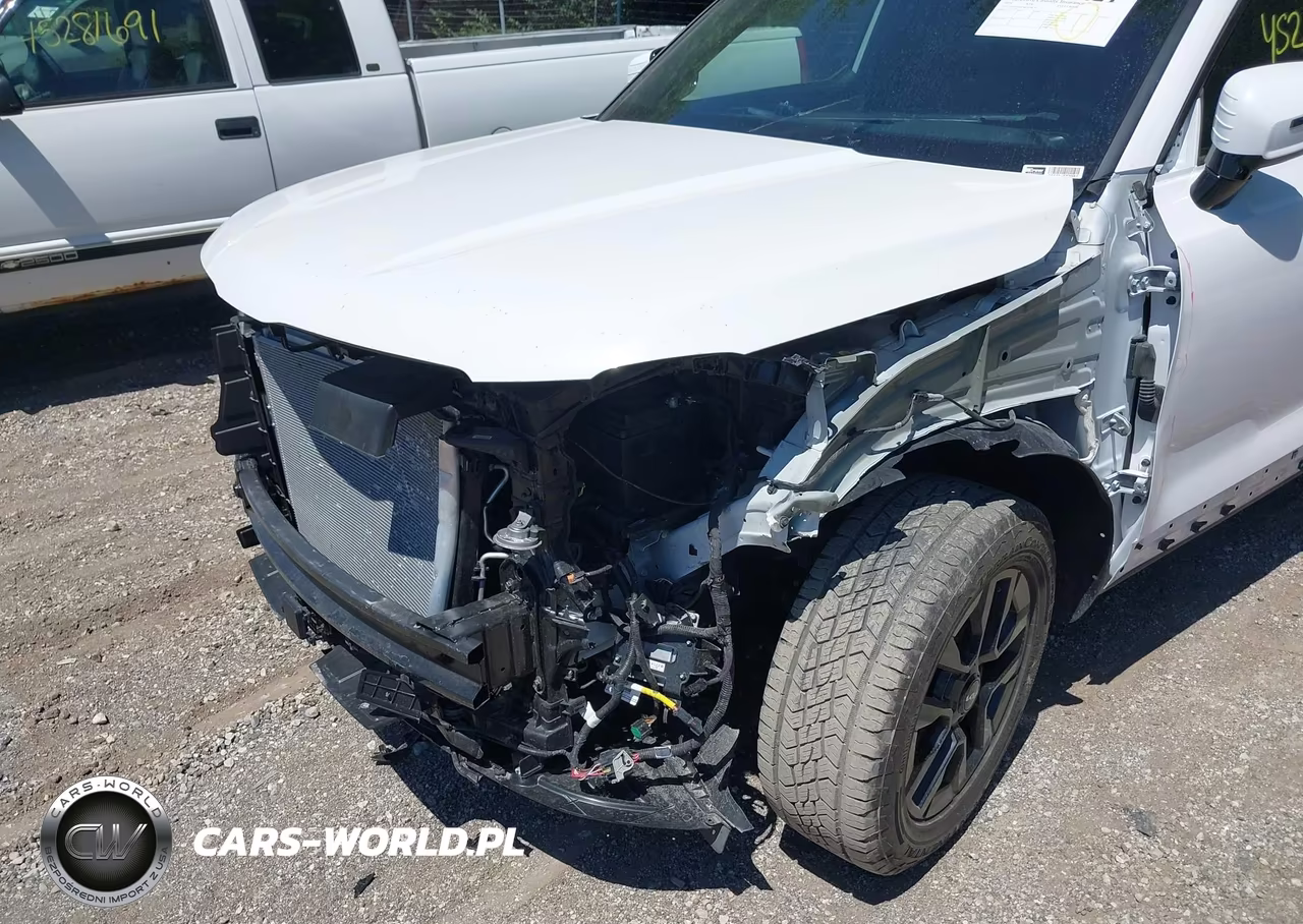 2024 Kia Telluride Sx X-Pro VIN:5XYP5DGC9RG428373 - 6