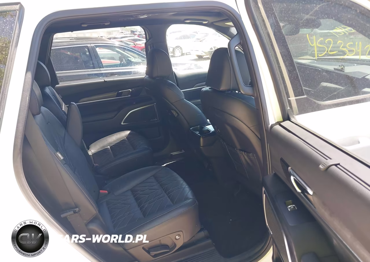 2024 Kia Telluride Sx X-Pro VIN:5XYP5DGC9RG428373 - 8
