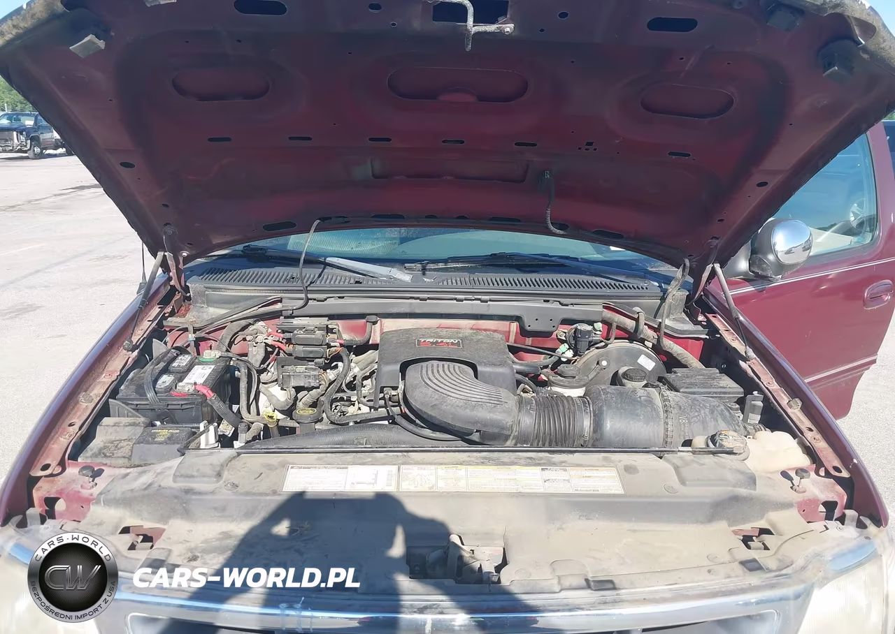 1998 Ford F-150 Lariat-Xl-Xlt VIN:1FTRX17L7WNC13421 - 10