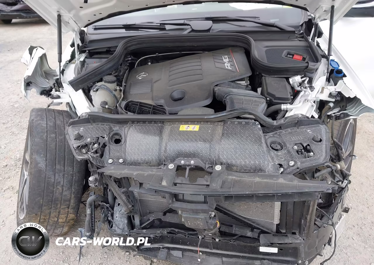 2024 Mercedes-Benz Amg Gle 53 Coupe 4Matic+ VIN:4JGFD6BB7RB014653 - 10