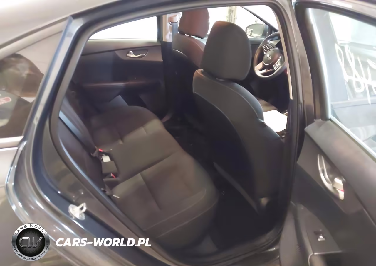 2019 Kia Forte Lxs VIN:3KPF24AD4KE113344 - 8