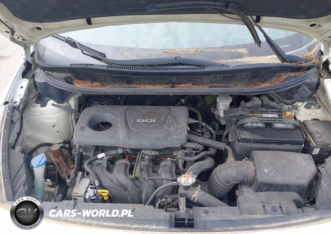 2016 Kia Rio Lx VIN:KNADM4A33G6542087 - 10