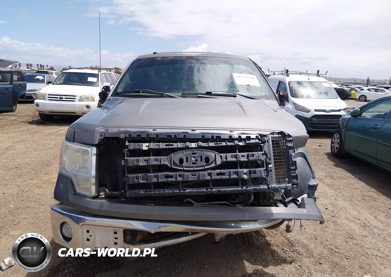 2010 Ford F-150 Fx2 Sport-Harley-Davidson-King Ranch-Lariat-Platinum-Xl-Xlt VIN:1FTFW1CVXAKC19012 - 12