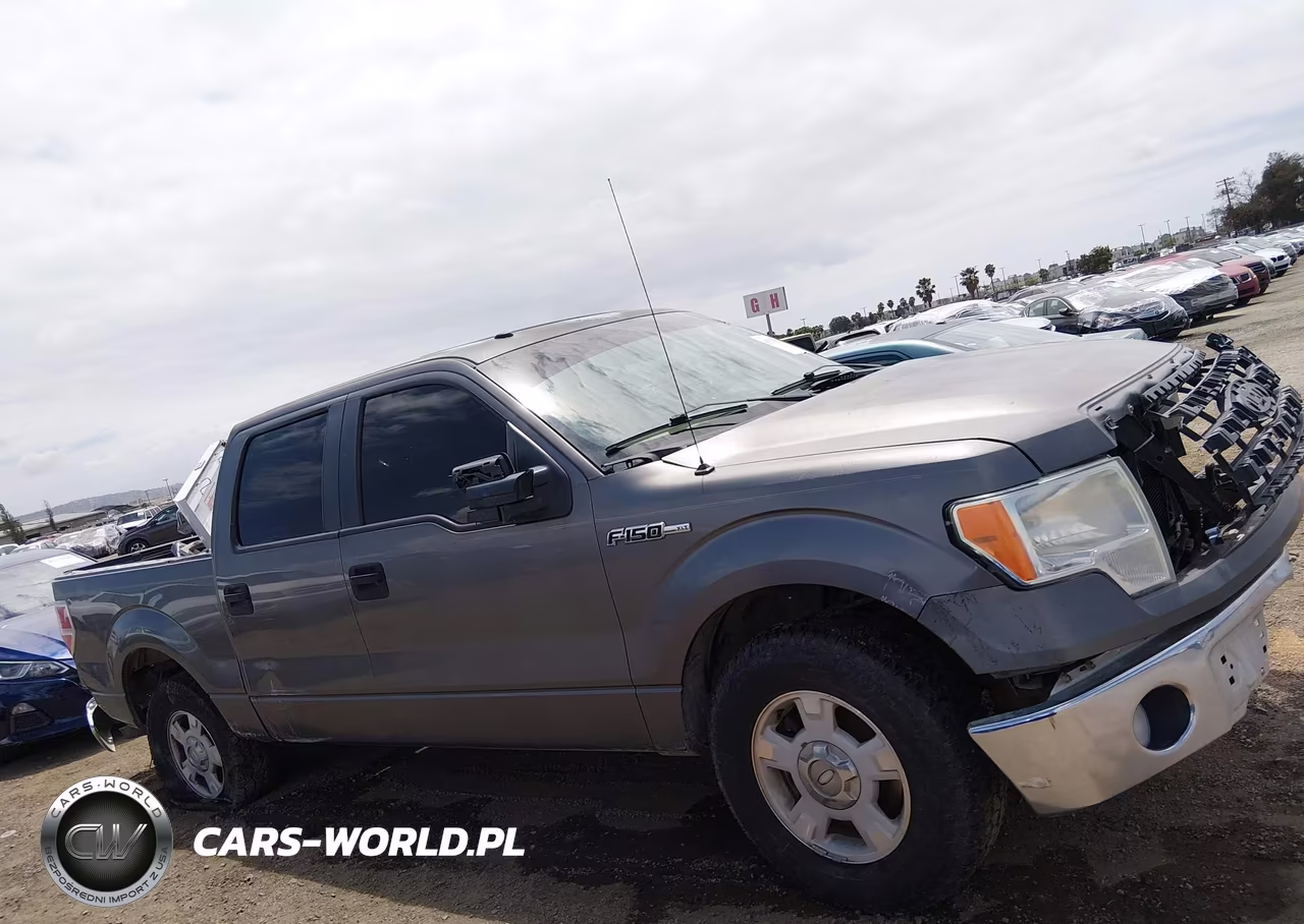 2010 Ford F-150 Fx2 Sport-Harley-Davidson-King Ranch-Lariat-Platinum-Xl-Xlt VIN:1FTFW1CVXAKC19012 - 13