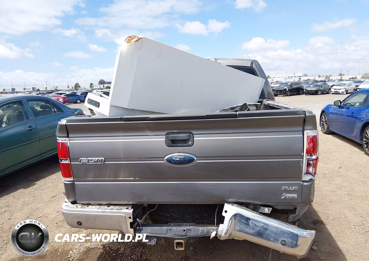 2010 Ford F-150 Fx2 Sport-Harley-Davidson-King Ranch-Lariat-Platinum-Xl-Xlt VIN:1FTFW1CVXAKC19012 - 16