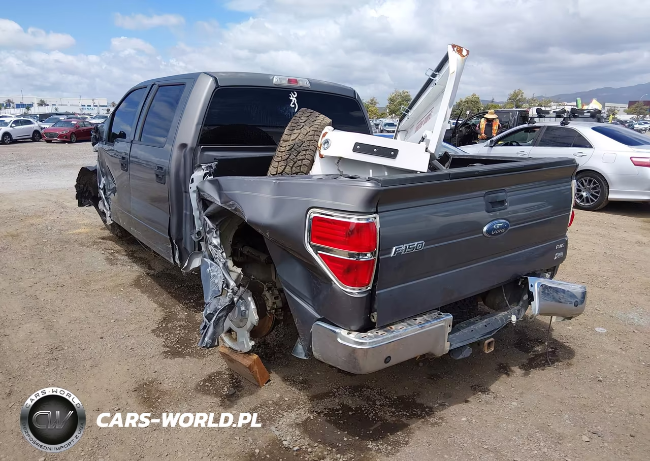 2010 Ford F-150 Fx2 Sport-Harley-Davidson-King Ranch-Lariat-Platinum-Xl-Xlt VIN:1FTFW1CVXAKC19012 - 3