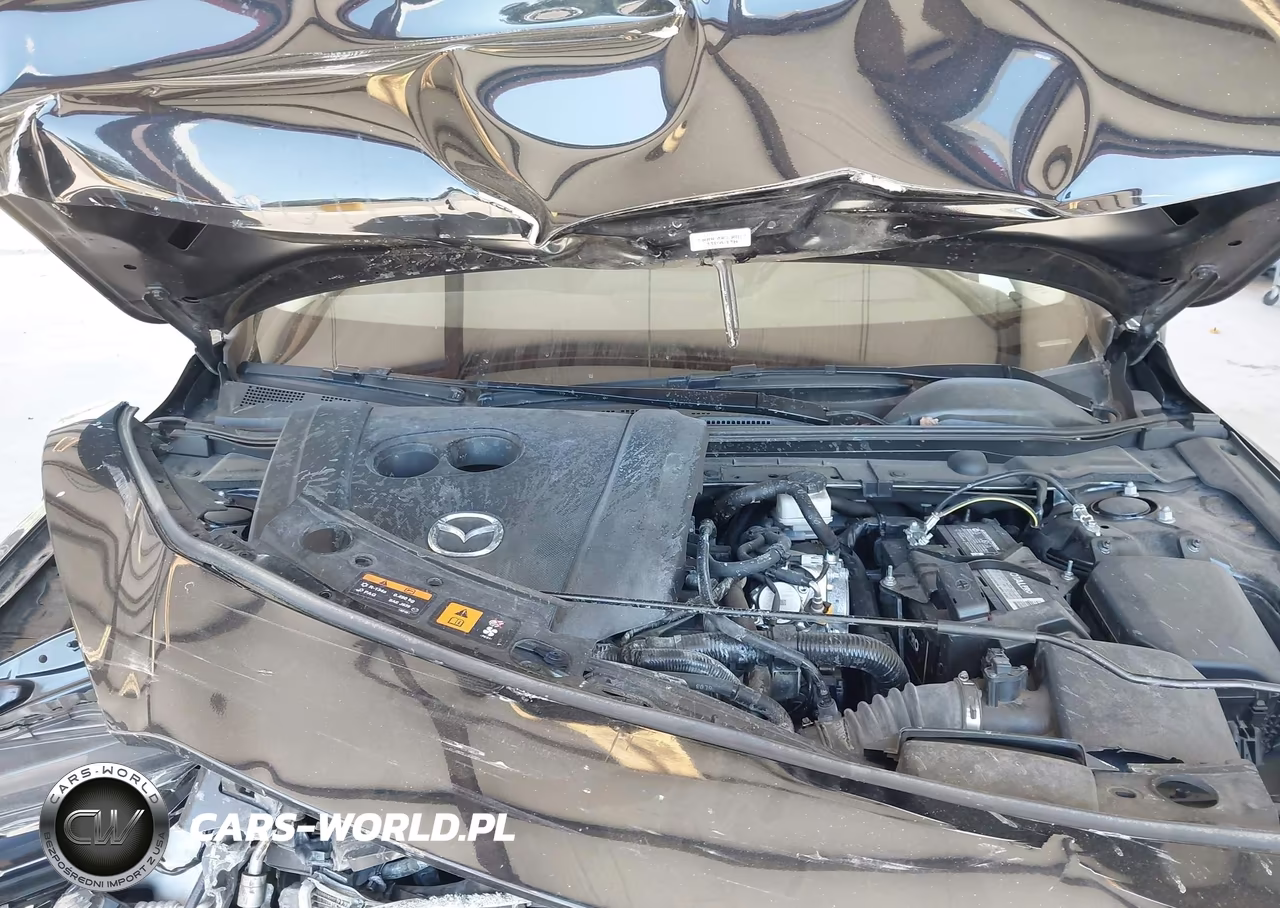 2020 Mazda Mazda3 Premium Package VIN:3MZBPAEM5LM133034 - 10