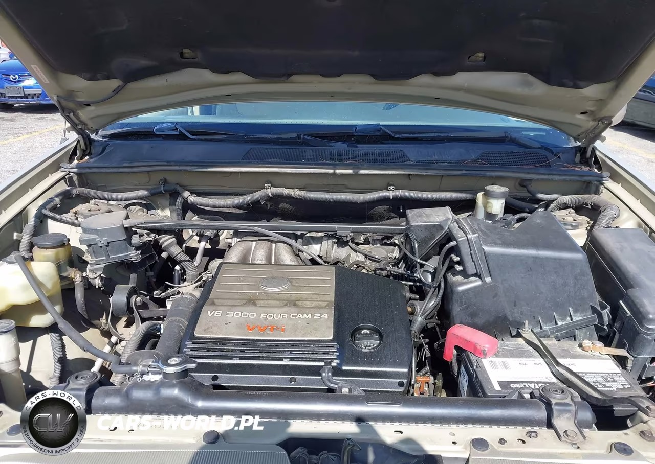 2001 Toyota Highlander V6 VIN:JTEGF21A710003765 - 10