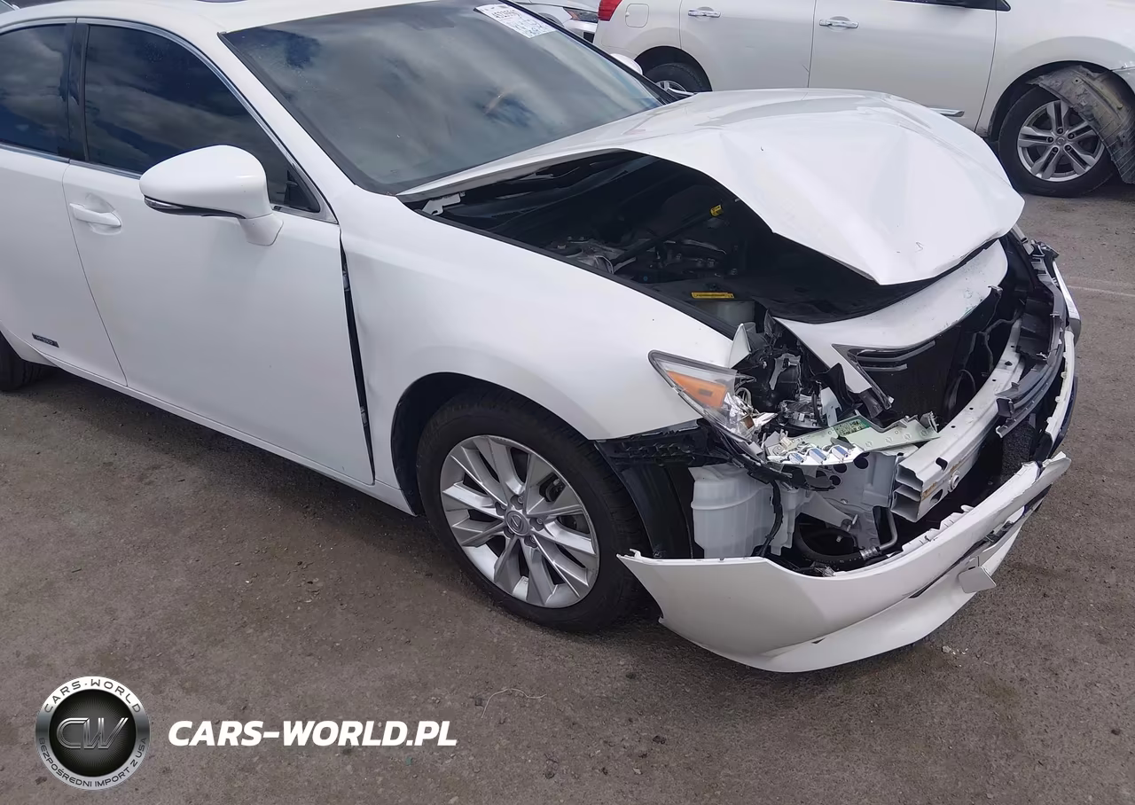2013 Lexus Es 300H VIN:JTHBW1GG2D2006438 - 17