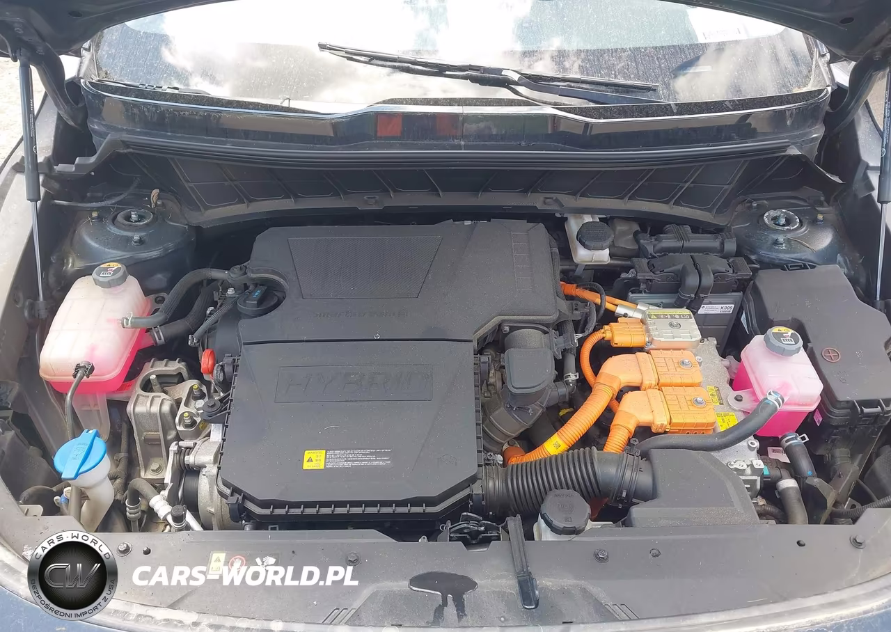 2024 Kia Niro Ex Touring VIN:KNDCR3LE7R5175325 - 10