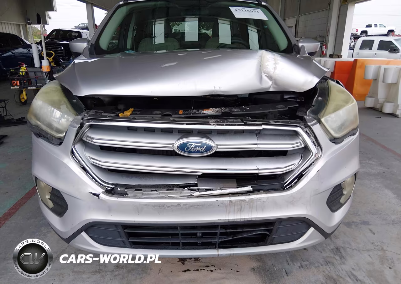 2017 Ford Escape Se VIN:1FMCU0G96HUA46101 - 12